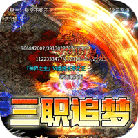 王者之剑2（复古攻速十二流派）
